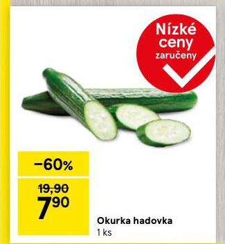 OKURKA HADOVKA