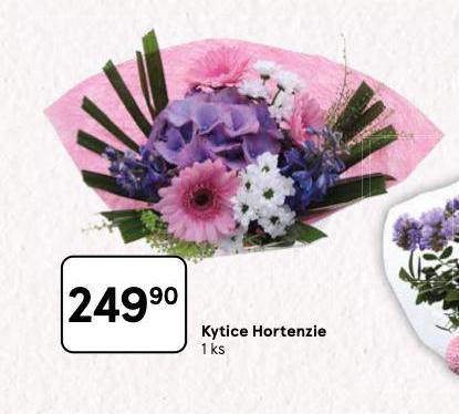 KYTICE HORTENZIE