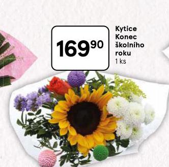 KYTICE KONEC KOLNHO ROKU