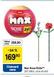 MAX ROSE RَE
