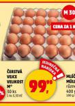 VEJCE M