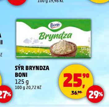 SR BRYNDZA