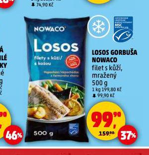 LOSOS GORBUA NOWACO