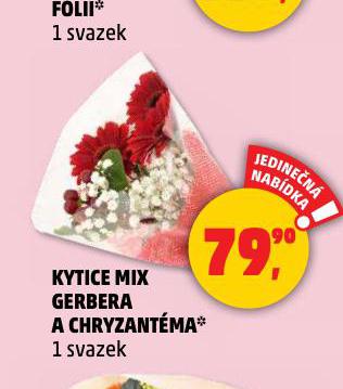 KYTICE MIX GERBERA