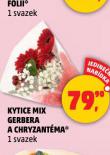 KYTICE MIX GERBERA