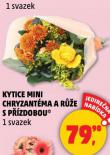KYTICE MINI