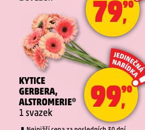 KYTICE ALSTROMERIE