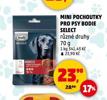 BODIE POCHOUTKY PRO PSY