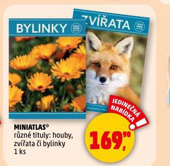 MINIATLAS