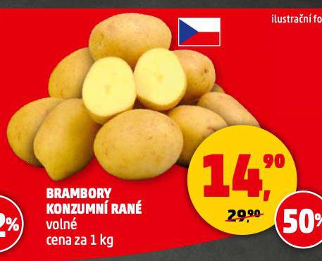 BRAMBORY KONZUMN RAN