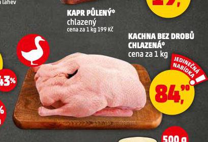 KACHNA BEZ DROB