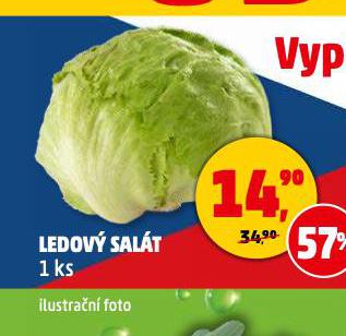 LEDOV SALT