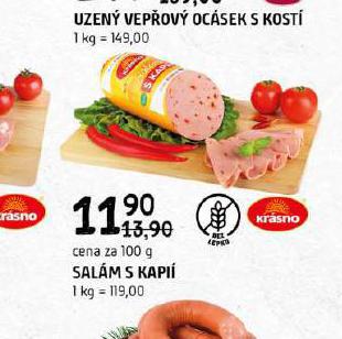SALM S KAPI