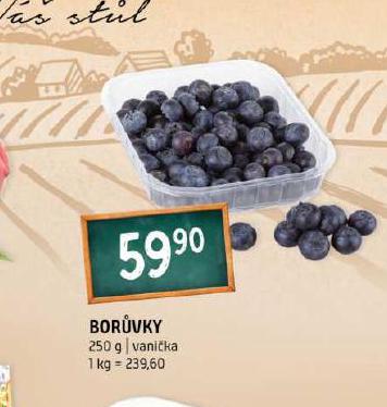 BORVKY