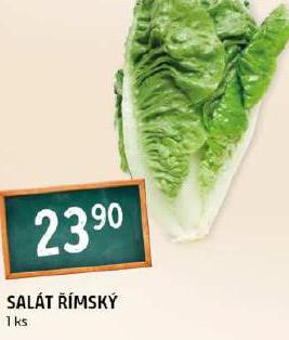 SALT MSK