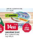 CHOCESK ERV
