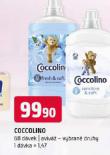 COCCOLINO AVIV