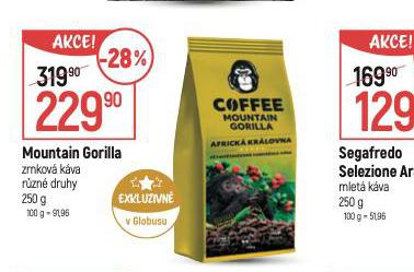 MONTAIN GORILLA ZRNKOV KVA