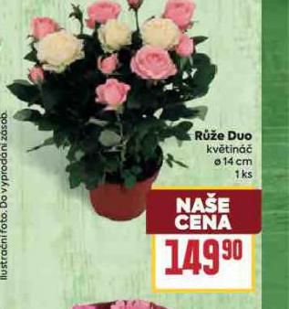 RَE DUO