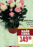 RَE DUO