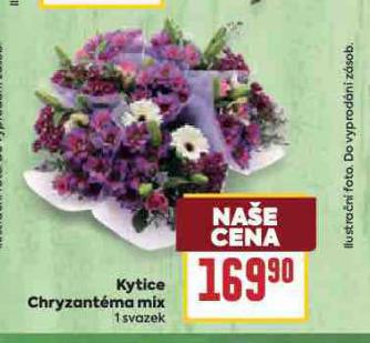 KYTICE CHRYZANTMA MIX