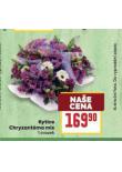 KYTICE CHRYZANTMA MIX