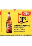 PIVO GAMBRINUS