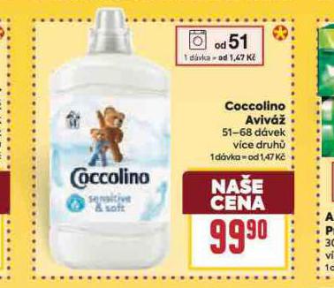 COCCOLINO AVIV