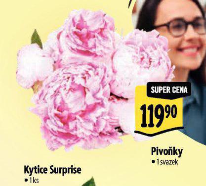 PIVOKY