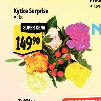 KYTICE SURPRISE