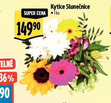 KYTICE SLUNENICE