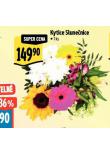 KYTICE SLUNENICE