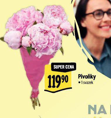 PIVOKY