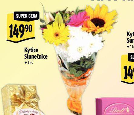 KYTICE SLUNENICE