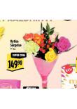 KYTICE SURPRISE