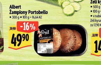 AMPIONY PORTOBELLO