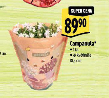 VAMPANULA