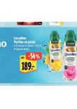 COCCOLINO PARFM NA PRAN
