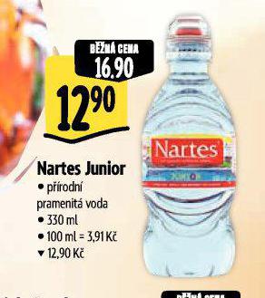NARTES JUNIOR