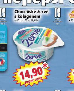 CHOCESK ERV