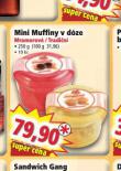 MINY MUFFINY V DZE