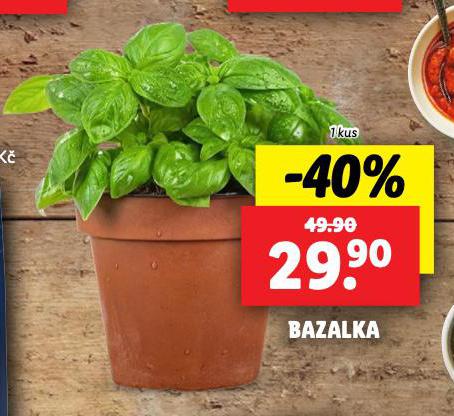 BAZALKA