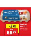 VEJCE L