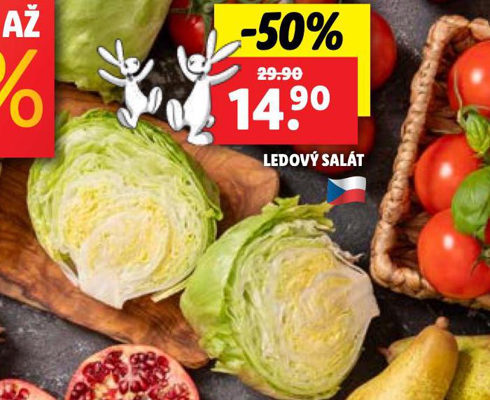 SALT LEDOV