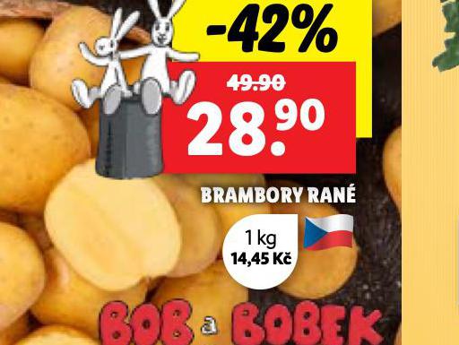 BRAMBORY RAN