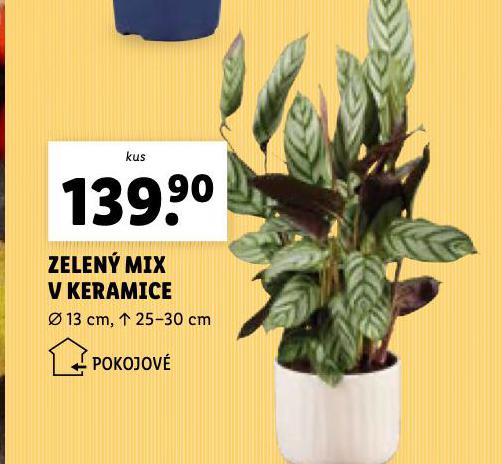 ZELEN MIX V KERAMICE