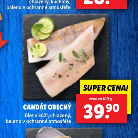 CANDT OBECN