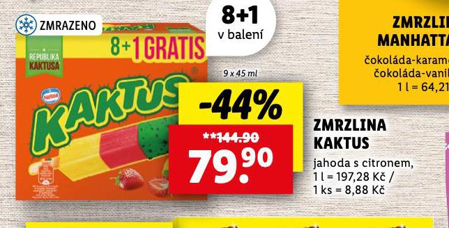 ZMRZLINA KAKTUS