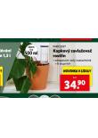 KAPKOV ZAVLAOVA ROSTLIN