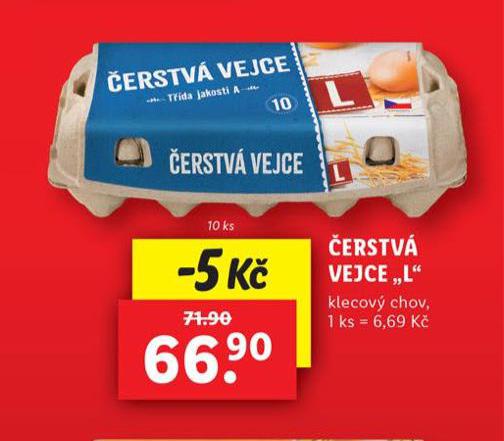 ERSTV VEJCE L